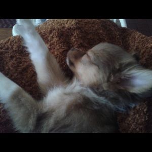 Meet your Posher, Jalyn